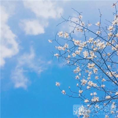 星空体育平台官网手机app下载